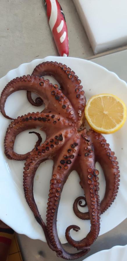 Hotel Restorant Genti Peshkatari 오리쿰 외부 사진
